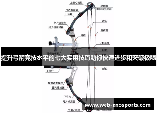 提升弓箭竞技水平的七大实用技巧助你快速进步和突破极限